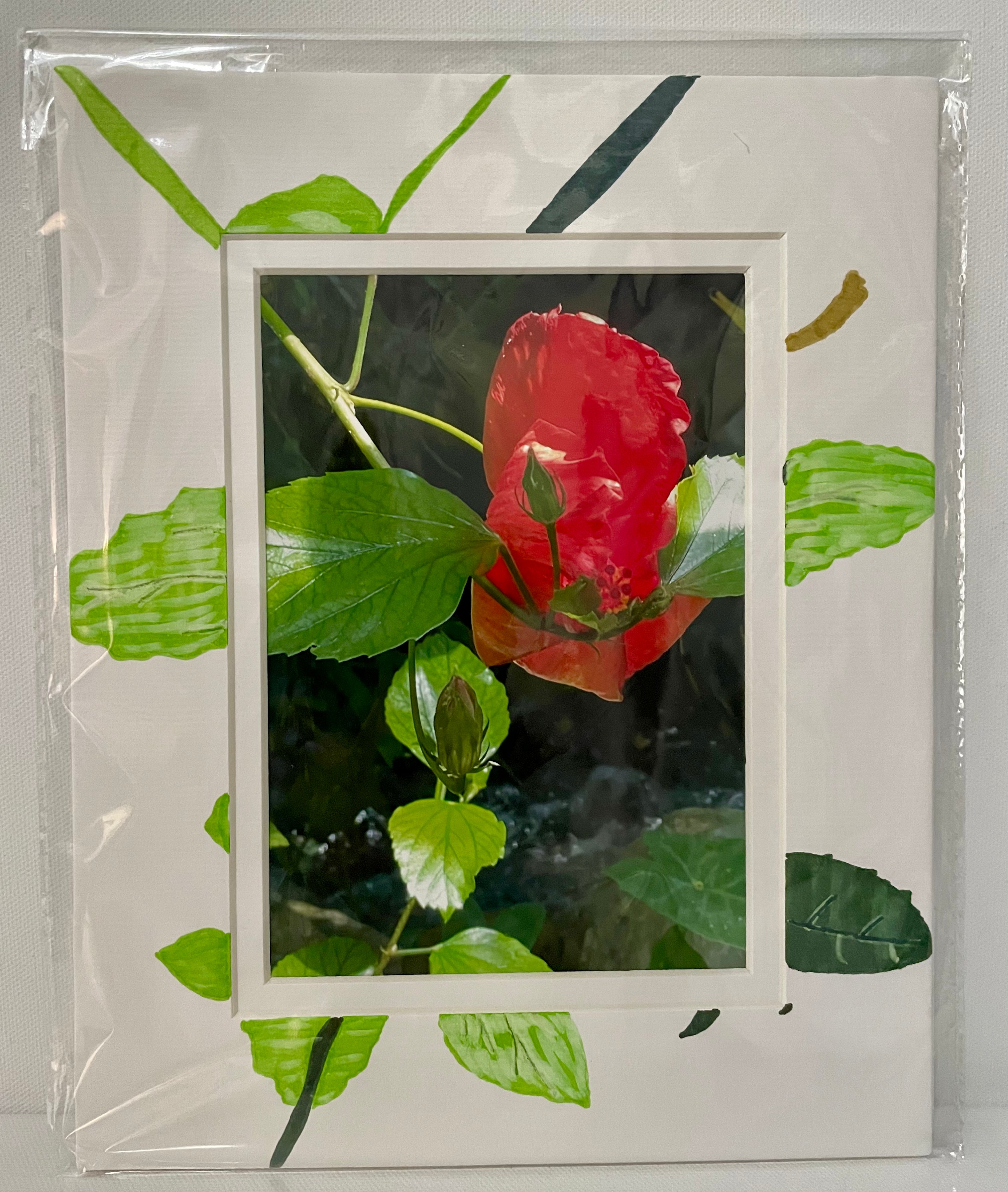 Stunning 5x7 Botanical Flower Photo on 8x10 Matt