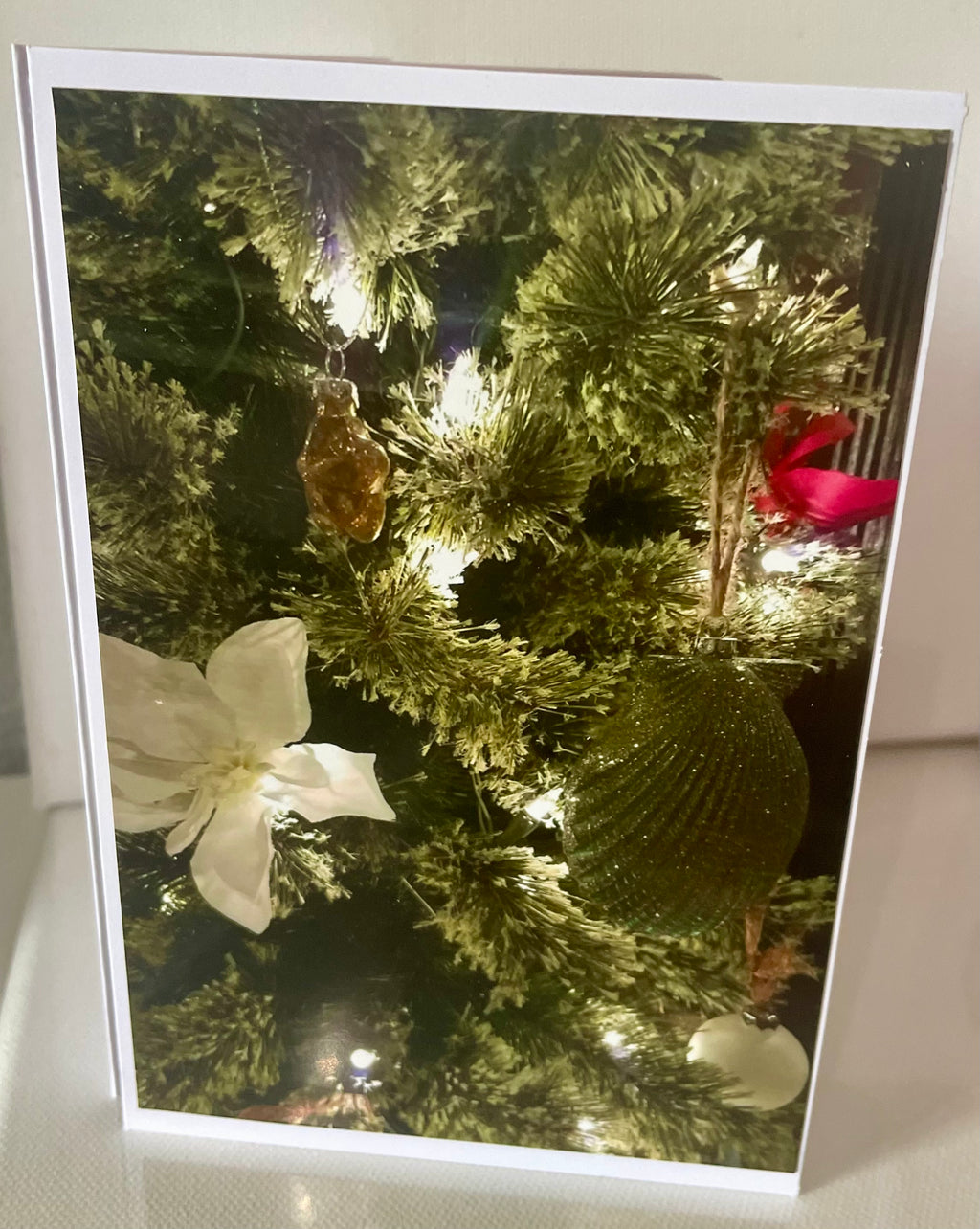 Set of (12) 4x6 Blank Christmas Cards with Envelopes — Original Christmas Photographs