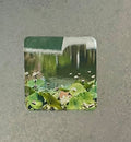 Magnet: Original Photo of the Pond at The Huntington  Library in San Marino, CA