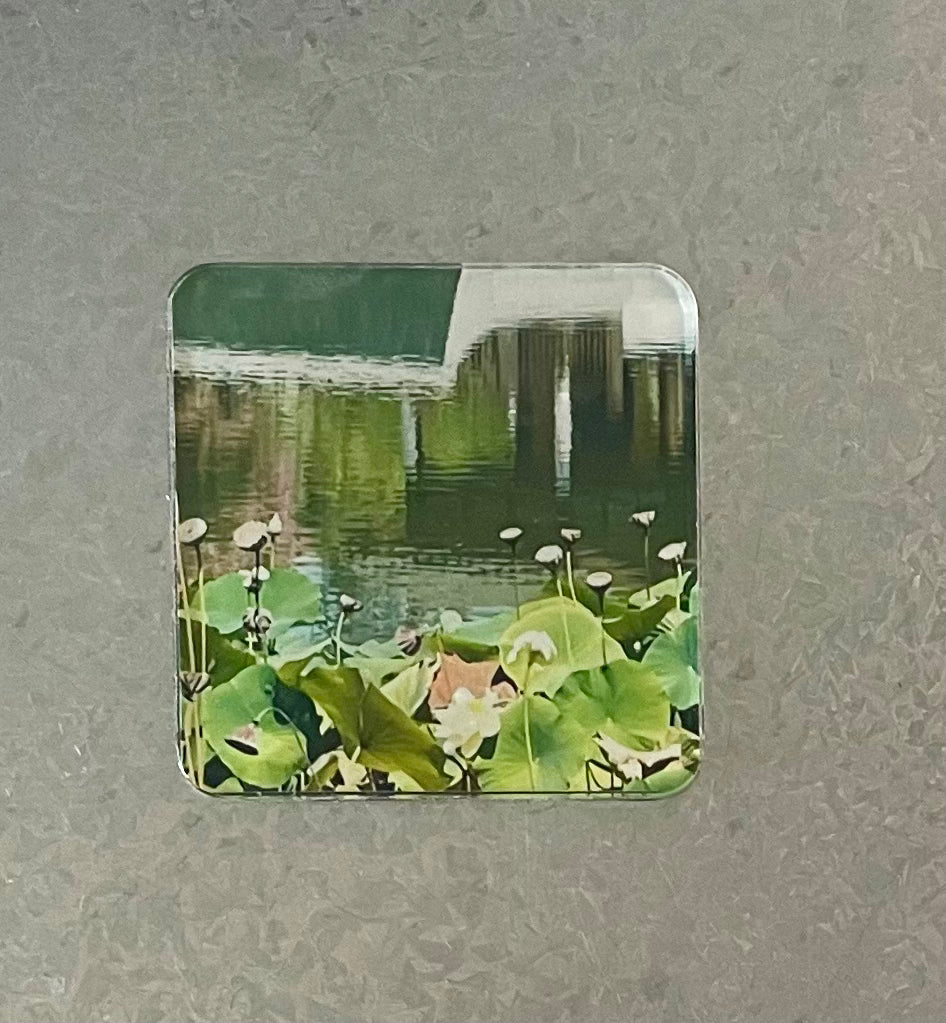 Magnet: Original Photo of the Pond at The Huntington  Library in San Marino, CA