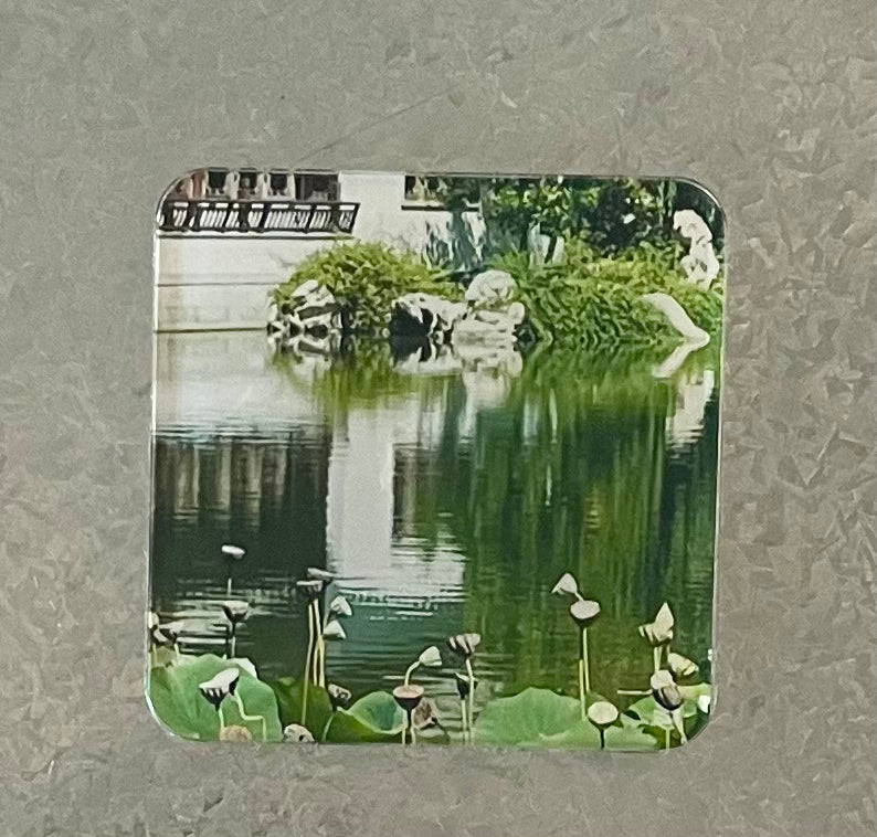 Magnet: Reflection at Huntington Library at San Marino, CA