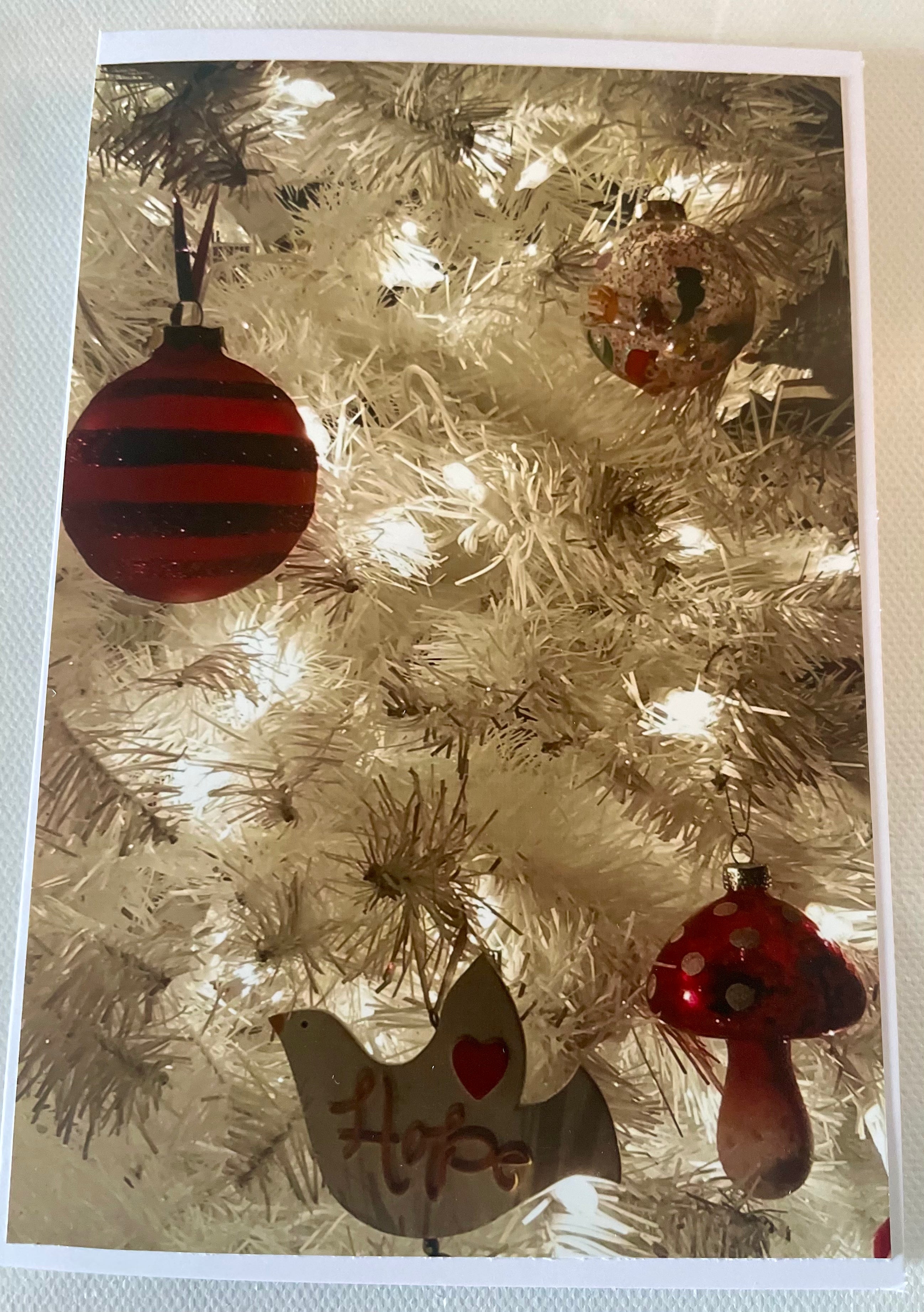 Set of (12) 4x6 Blank Christmas Cards with Envelopes — Original Christmas Photographs