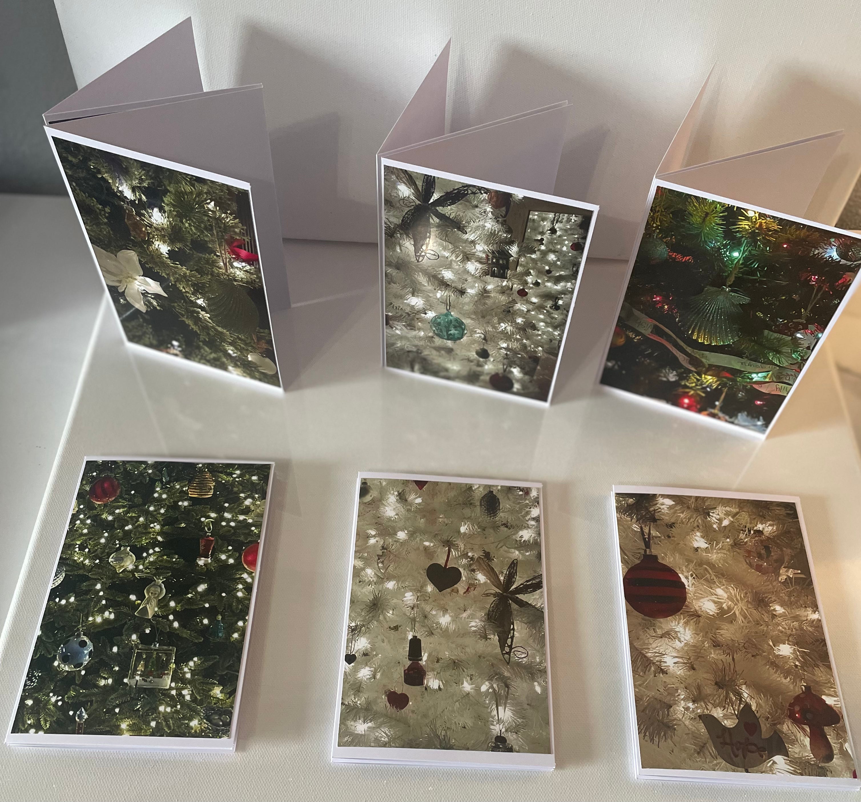 Set of (12) 4x6 Blank Christmas Cards with Envelopes — Original Christmas Photographs
