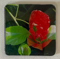 “Red Botanical” 2 x 2 Square Magnet