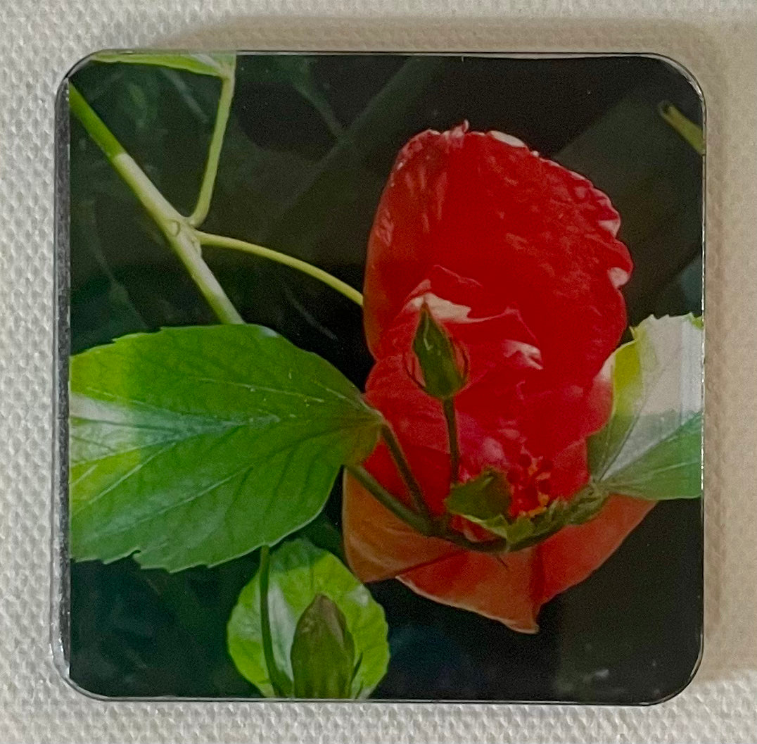 “Red Botanical” 2 x 2 Square Magnet