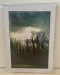 “Whispering Woods”: 5x7 Blank Card w/ Original 4x6 Photo