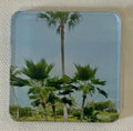 “Palm Trees” 2 x 2 Square Magnet