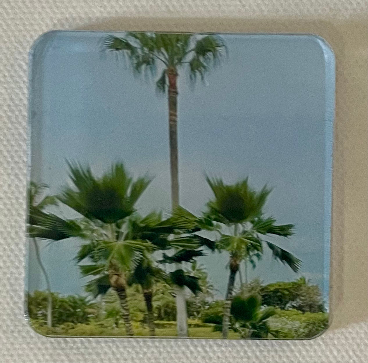 “Palm Trees” 2 x 2 Square Magnet