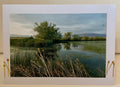 5x7 Blank Greeting Card - Echoes across the Lily Pads