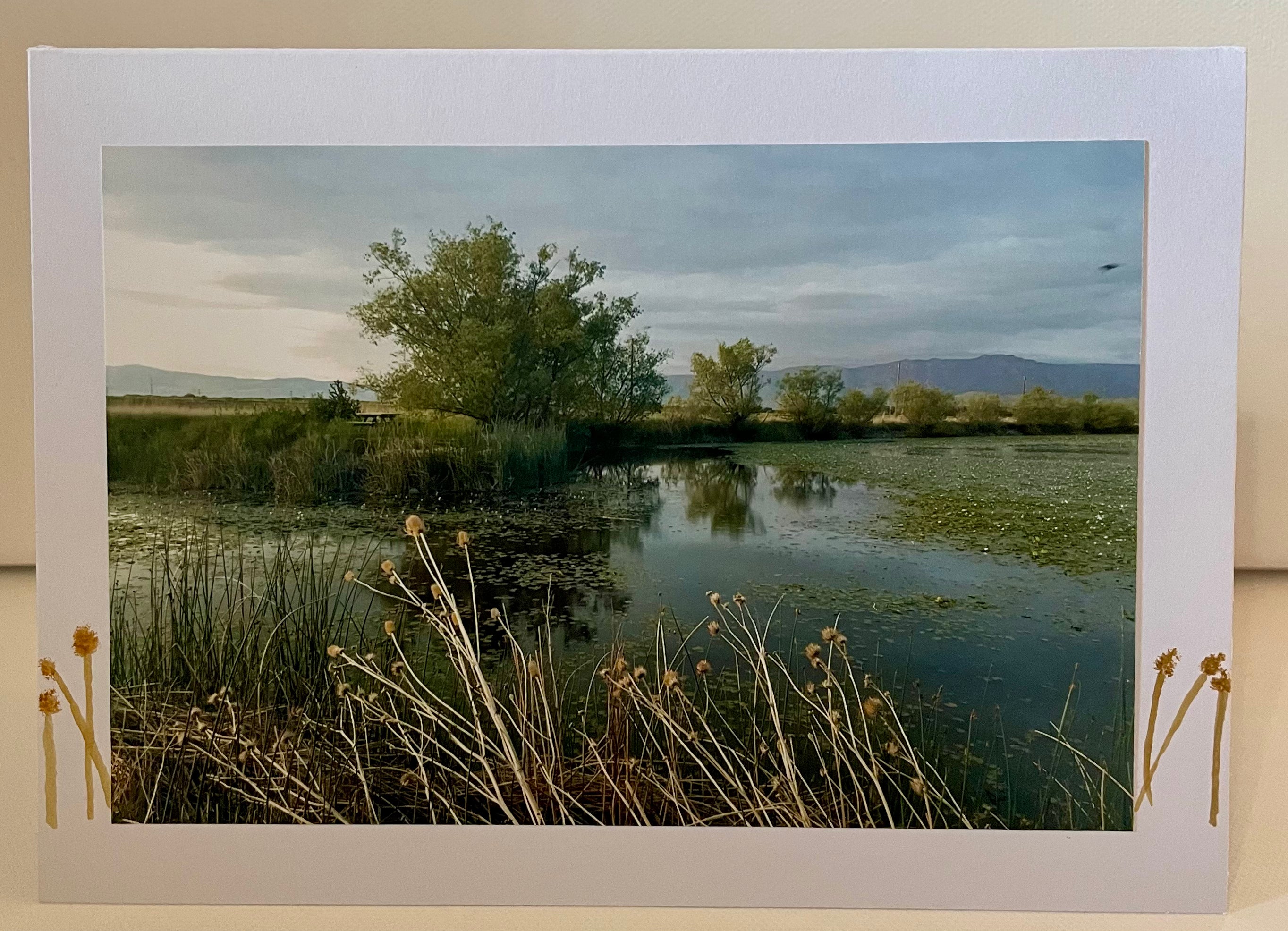 5x7 Blank Greeting Card - Echoes across the Lily Pads