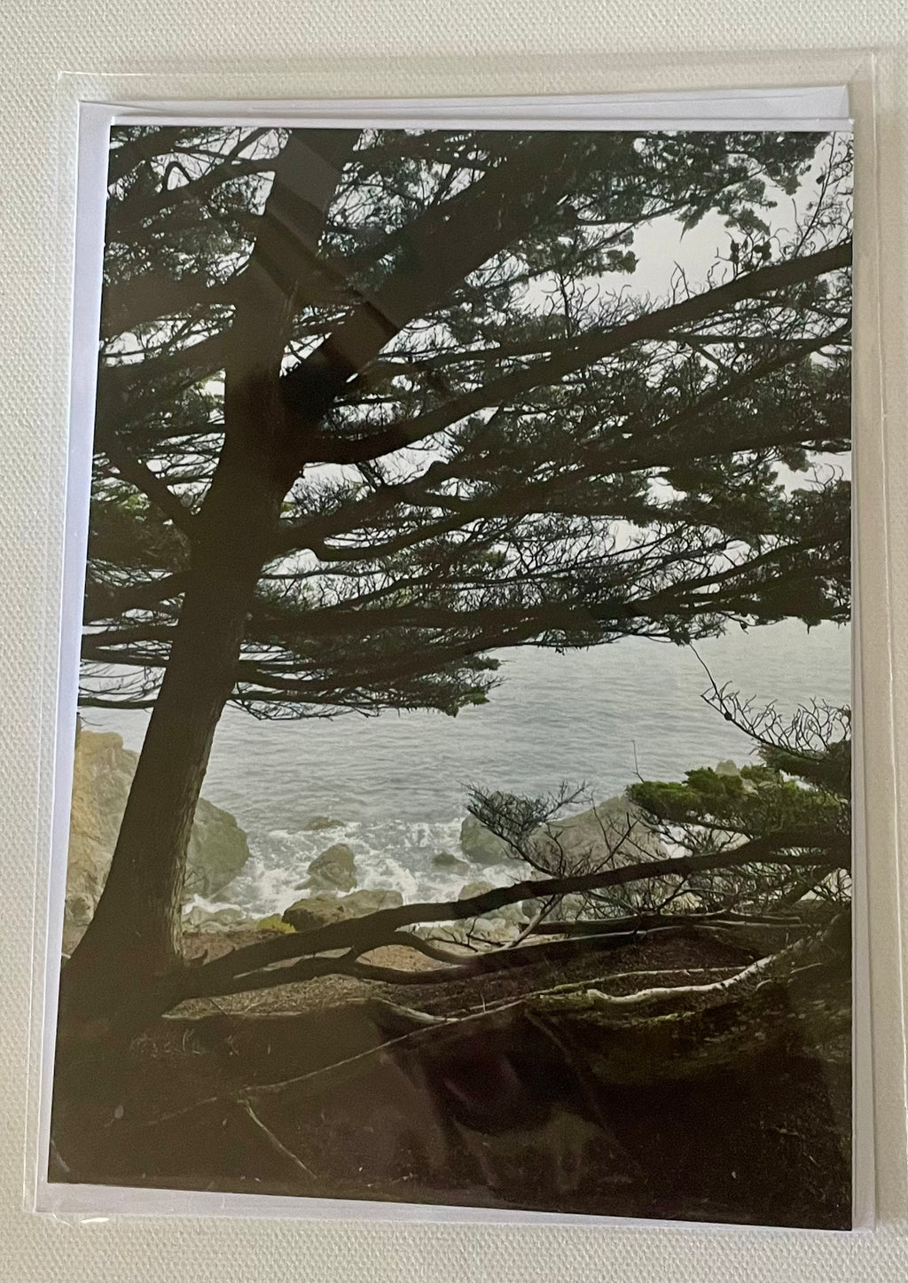 Through the Trees: Florence, OR: 5x7 Photo on 5x7 Blank Card