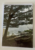 Through the Trees: Florence, OR: 5x7 Photo on 5x7 Blank Card