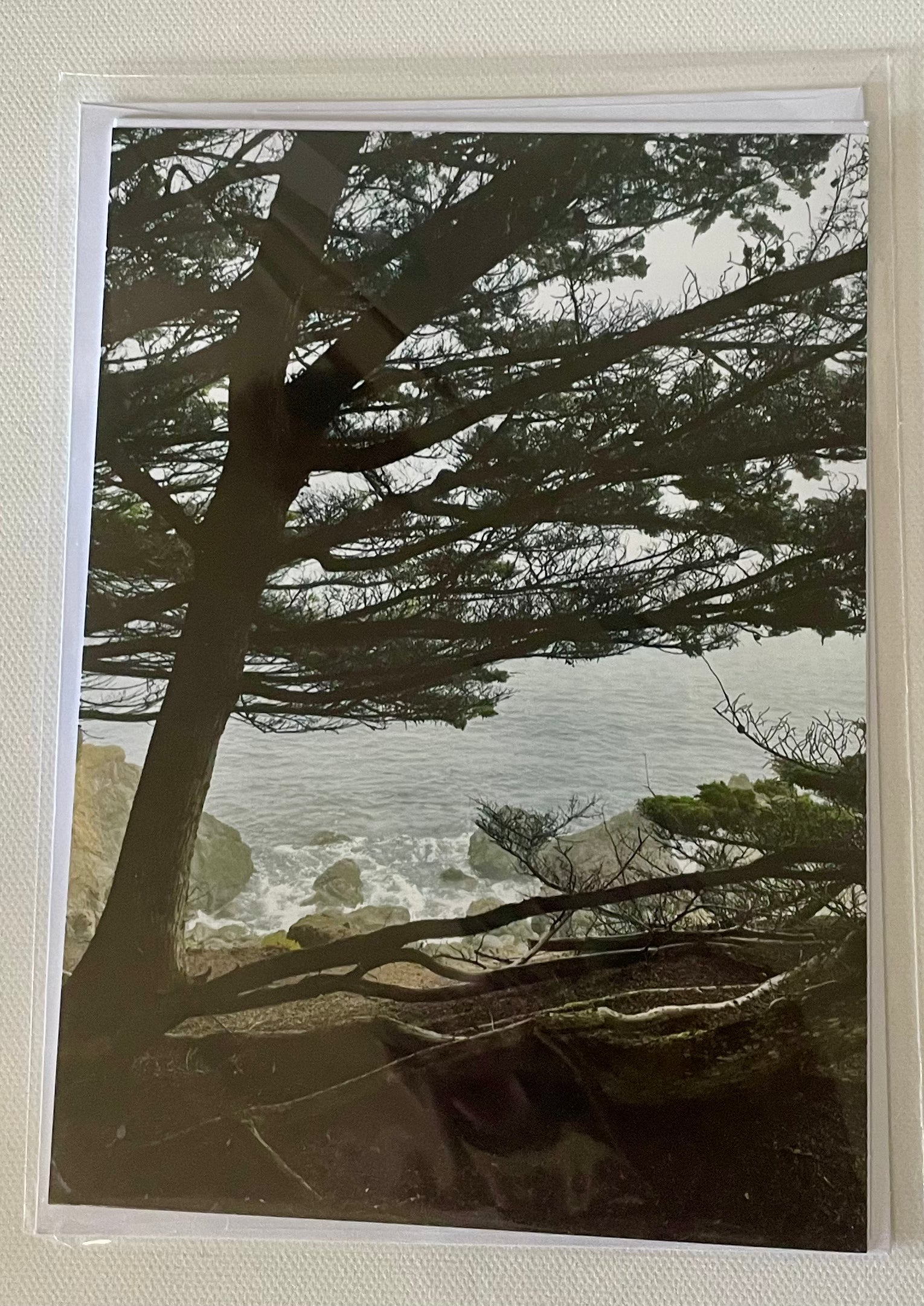 Through the Trees: Florence, OR: 5x7 Photo on 5x7 Blank Card