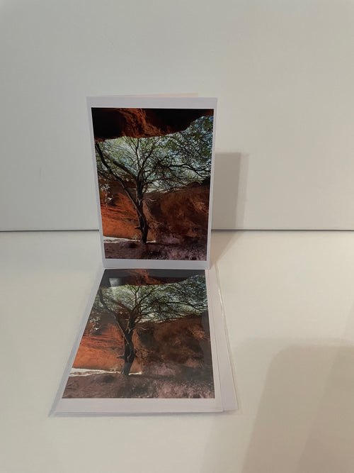 4x6 Original Photo Blank Greeting Card - Sandstone Cavern, St. George, UT
