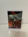 4x6 Original Photo Blank Greeting Card - Sandstone Cavern, St. George, UT