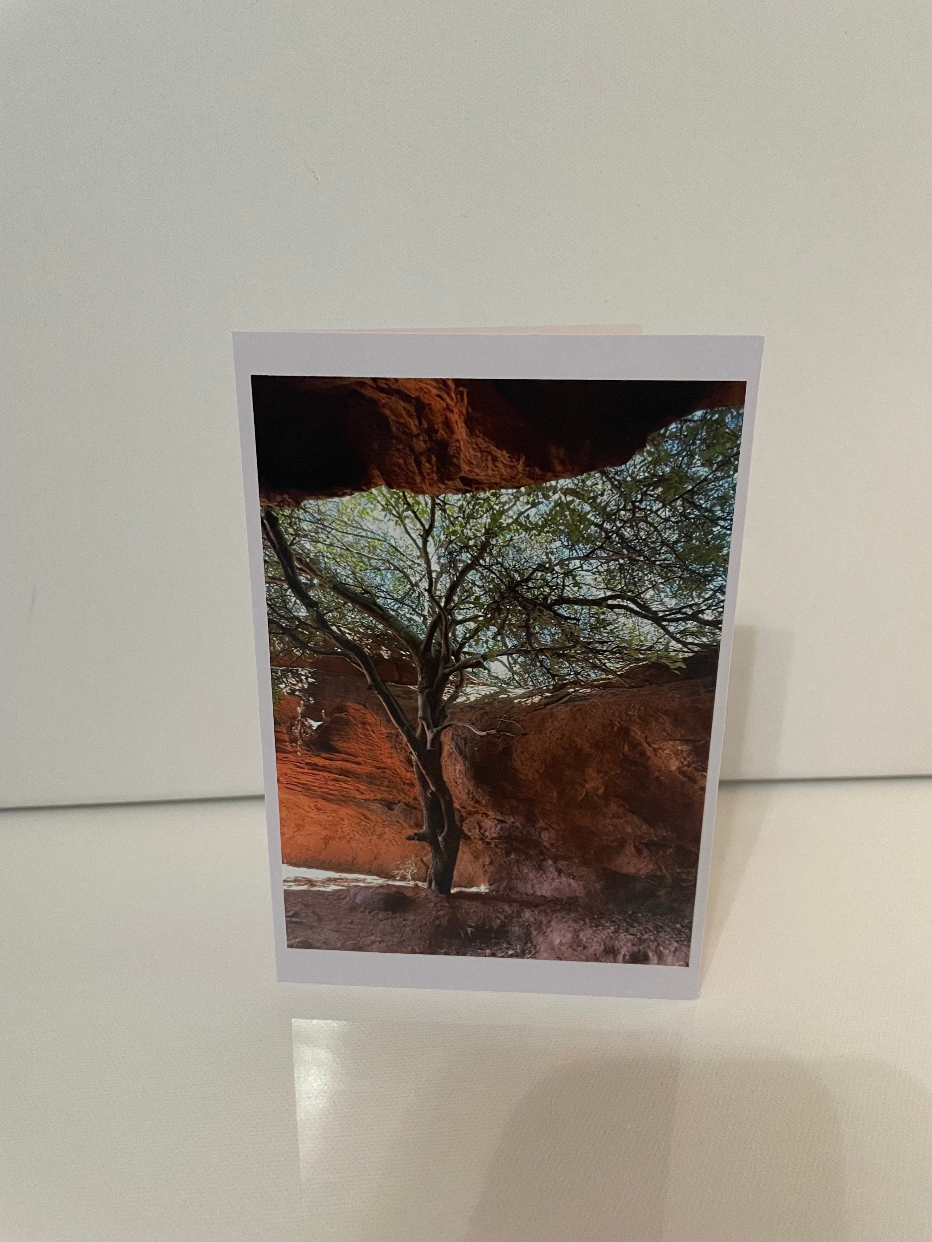 4x6 Original Photo Blank Greeting Card - Sandstone Cavern, St. George, UT